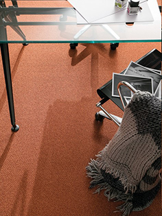  Moquette 1